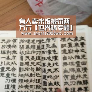 有人卖米饭被罚两万六【世界杯专题】(图4) 比赛集锦