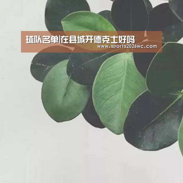 球队名单|在县城开德克士好吗(图1) 球队名单