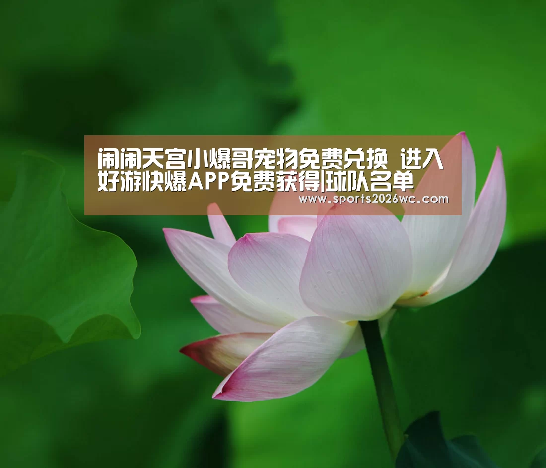 闹闹天宫小爆哥宠物免费兑换 进入好游快爆APP免费获得|球队名单(图2) 比赛集锦