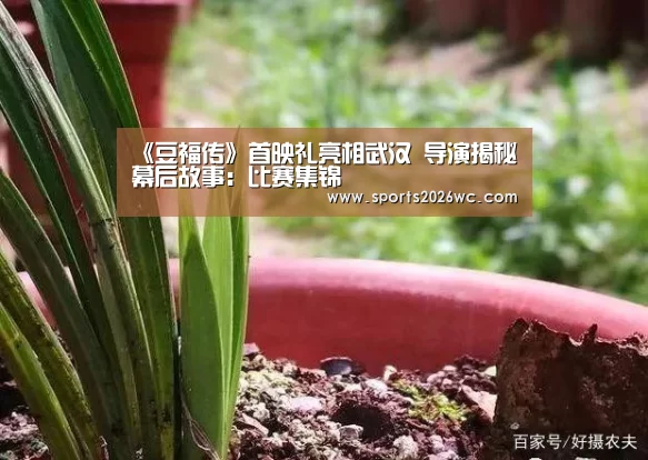 世界杯专题