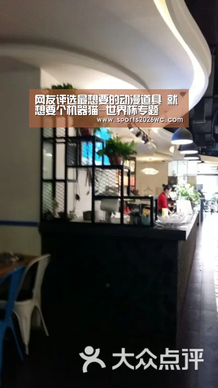 网友评选最想要的动漫道具 就想要个机器猫-世界杯专题(图1) 球队名单