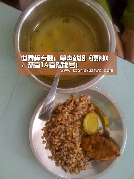 世界杯专题:掌声献给《原神》,恭喜TA喜提版号!(图4) 比赛集锦