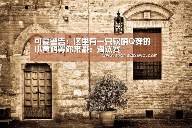 可爱警告:这里有一只软萌Q弹的小黄鸡等你来戳:淘汰赛(图3) 淘汰赛