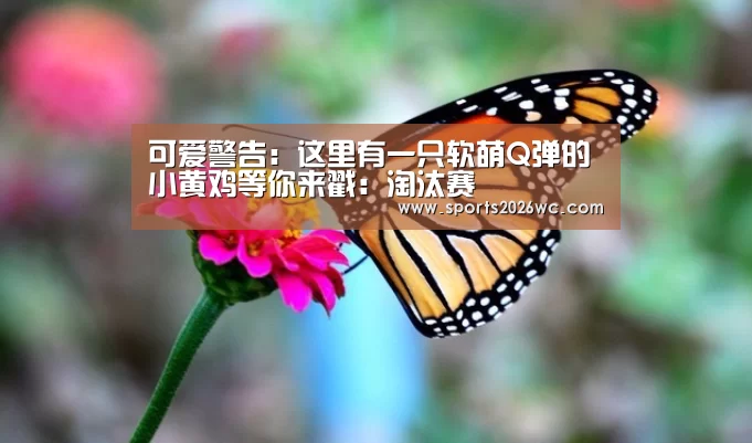 可爱警告:这里有一只软萌Q弹的小黄鸡等你来戳:淘汰赛(图1) 淘汰赛
