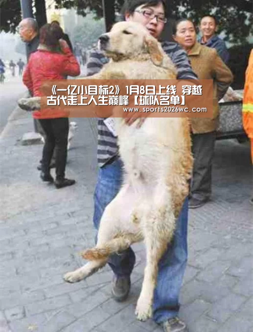 《一亿小目标2》1月8日上线 穿越古代走上人生巅峰【球队名单】(图1) 球队名单