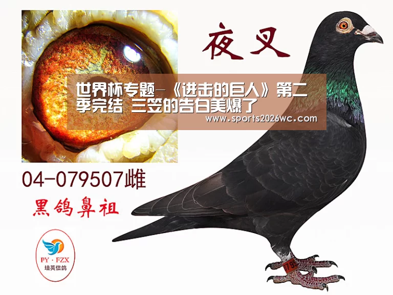 世界杯专题-《进击的巨人》第二季完结 三笠的告白美爆了(图3) 世界杯专题