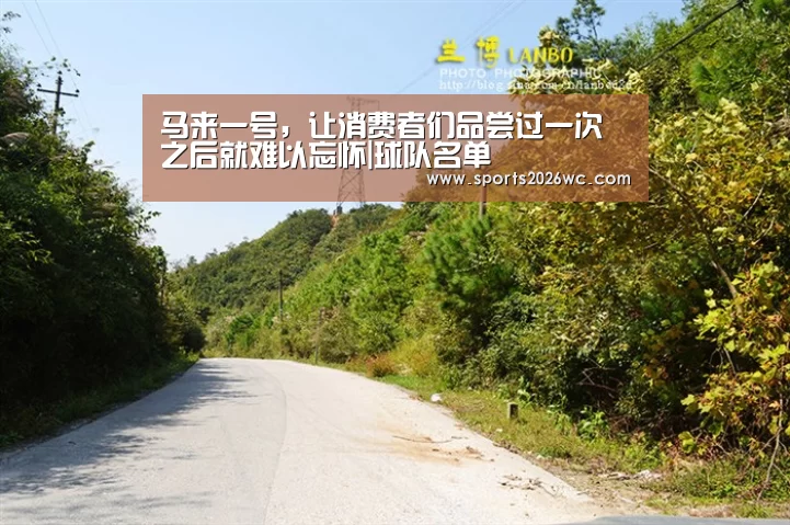 马来一号,让消费者们品尝过一次之后就难以忘怀|球队名单(图2) 比赛集锦