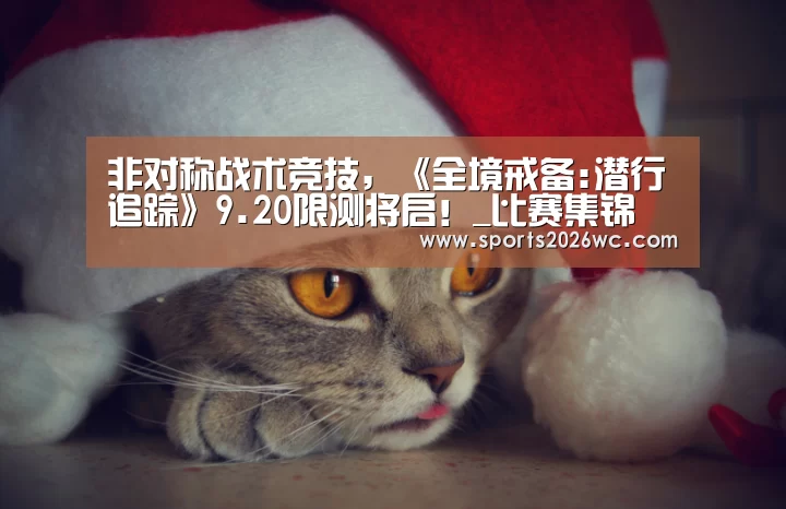 非对称战术竞技,《全境戒备:潜行追踪》9.20限测将启!_比赛集锦(图2) 淘汰赛
