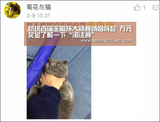 奶块首届圣殿杯大师赛硝烟将起 万元奖金了解一下“淘汰赛”(图2) 淘汰赛